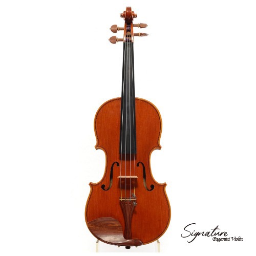 바이올린 SIGNATURE (Bella Suona)