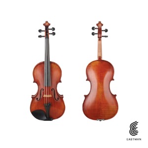 바이올린 Rudoulf Doetsch VL701